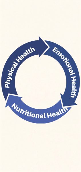 Home health circle arrow diagram